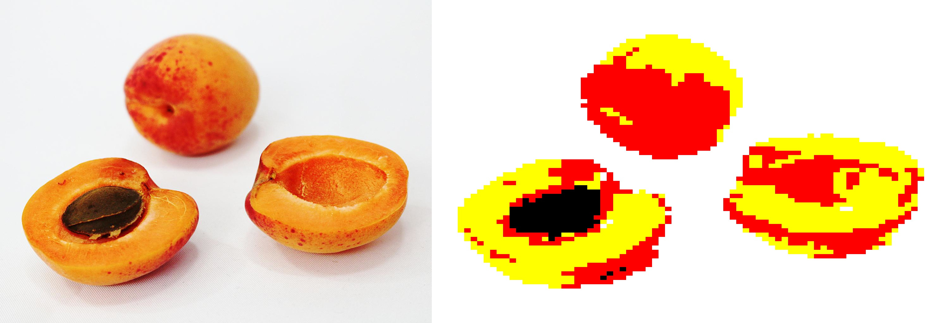 Apricots, example image for Masquerain
